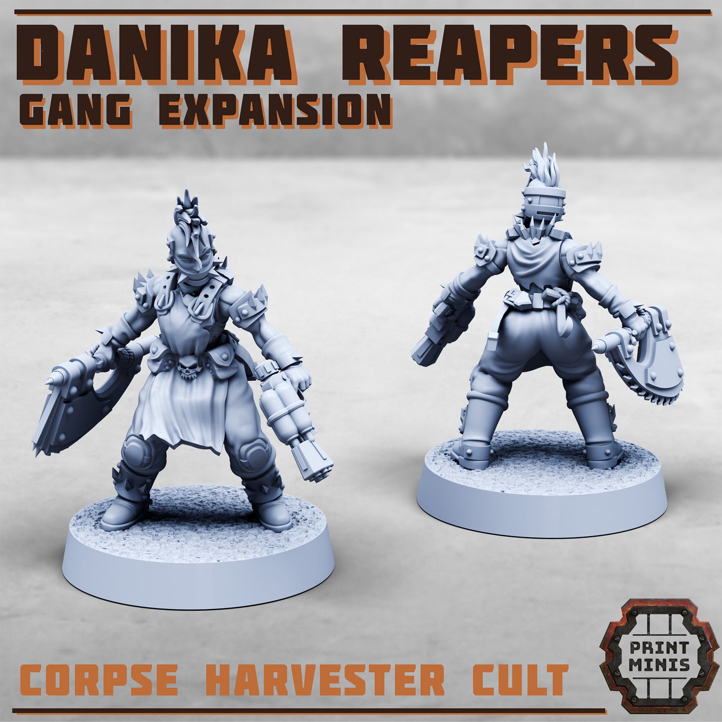 Danika Reaper Expansion - Figurine Print Minis