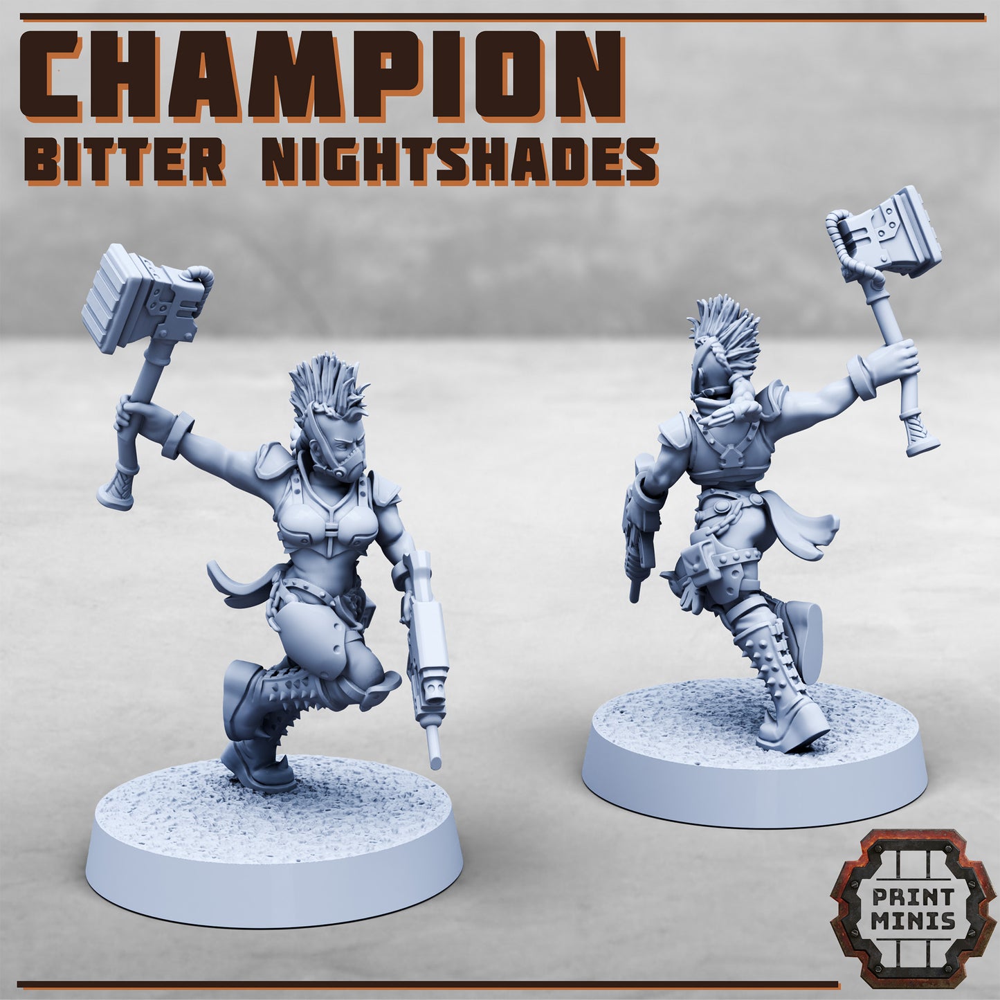 Nightshade Champions - Figurine Print Minis