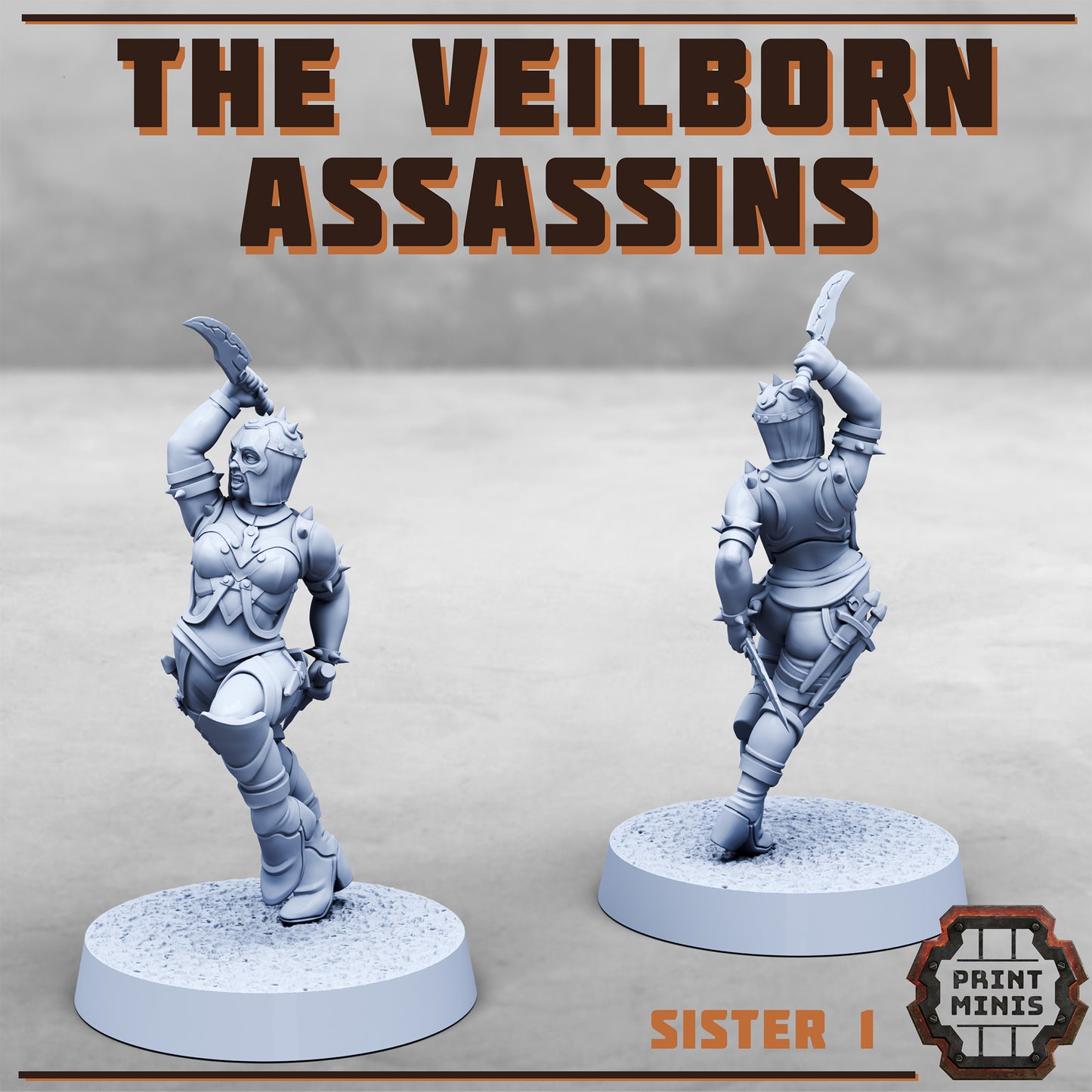 The Veilborn Assasins - Figurine Print Minis