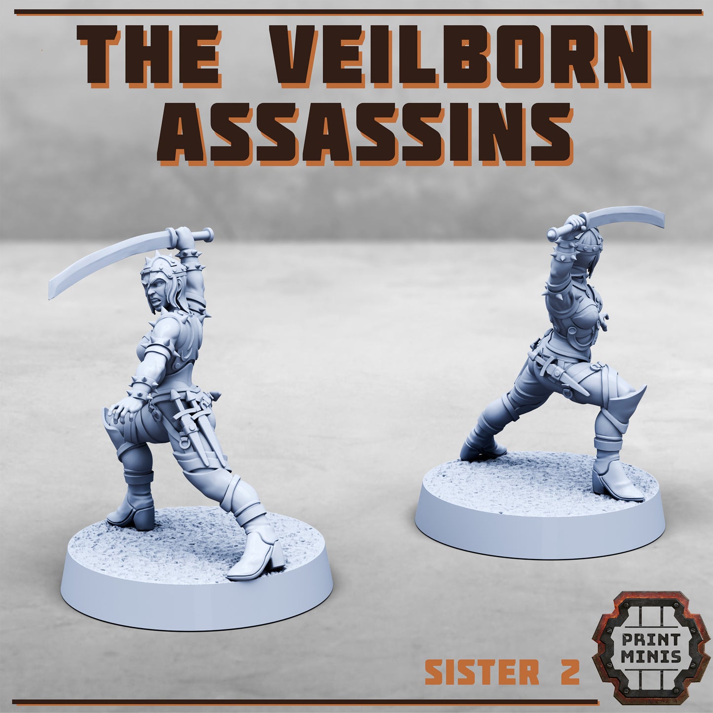 The Veilborn Assasins - Figurine Print Minis