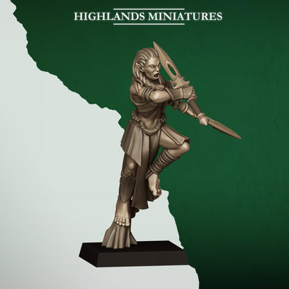 BLADESINGERS - HIGHLANDS Miniatures