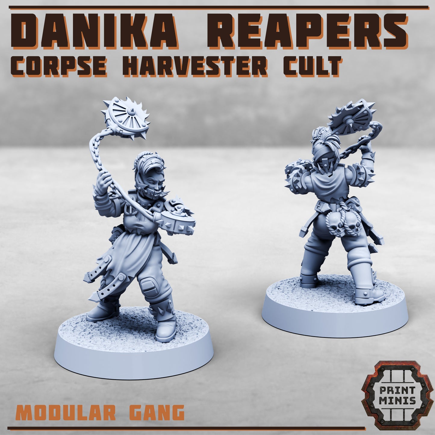 Danika Reapers Cult - Figurine Print Minis