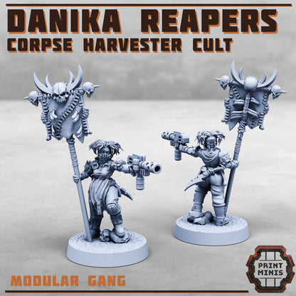 Danika Reapers Cult - Figurine Print Minis