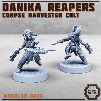 Danika Reapers Cult - Figurine Print Minis