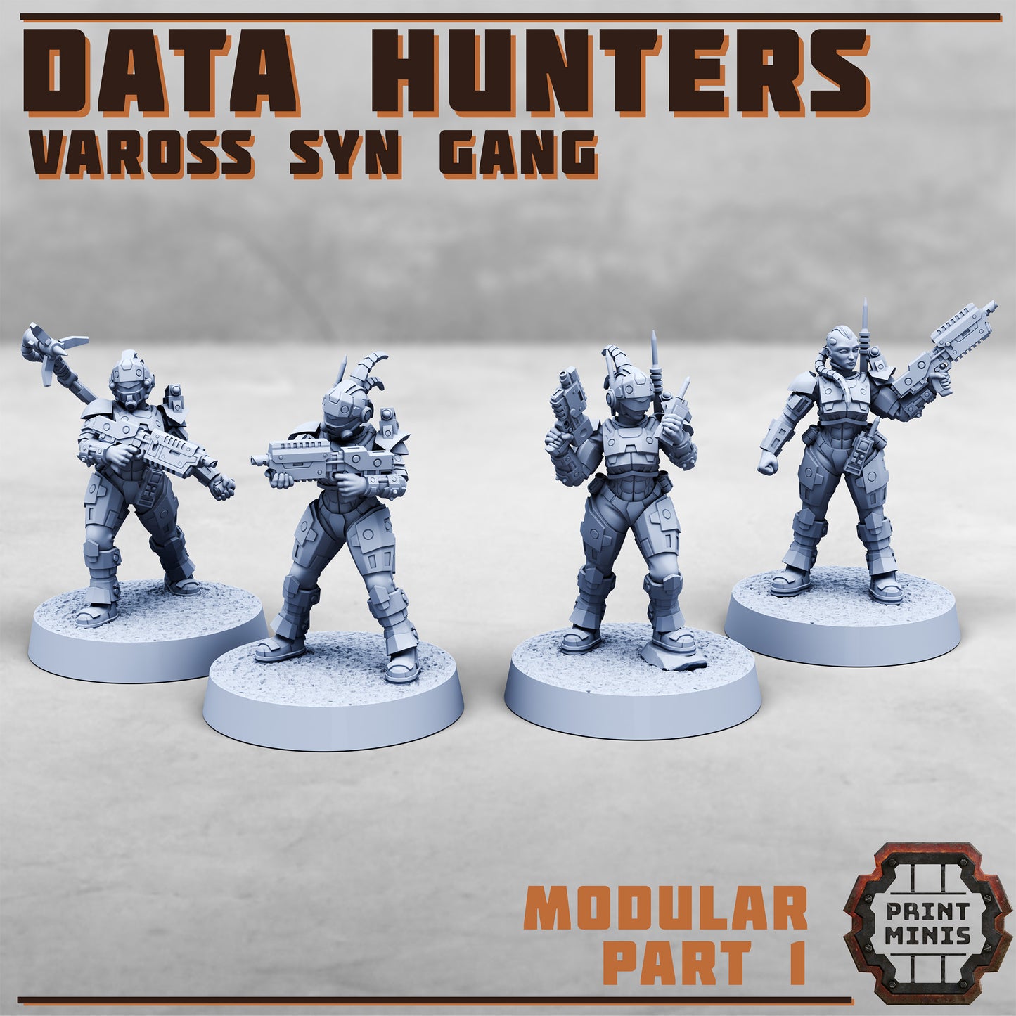 Data Hunters - Figurine Print Minis - PRINT MINIS - 3DPitFactory