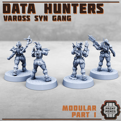 Data Hunters - Figurine Print Minis - PRINT MINIS - 3DPitFactory