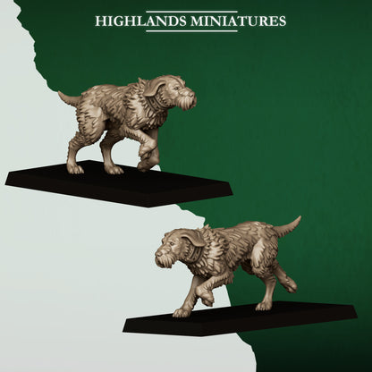 FERAL ANIMALS AND BEASTAMERS  - HIGHLANDS Miniatures