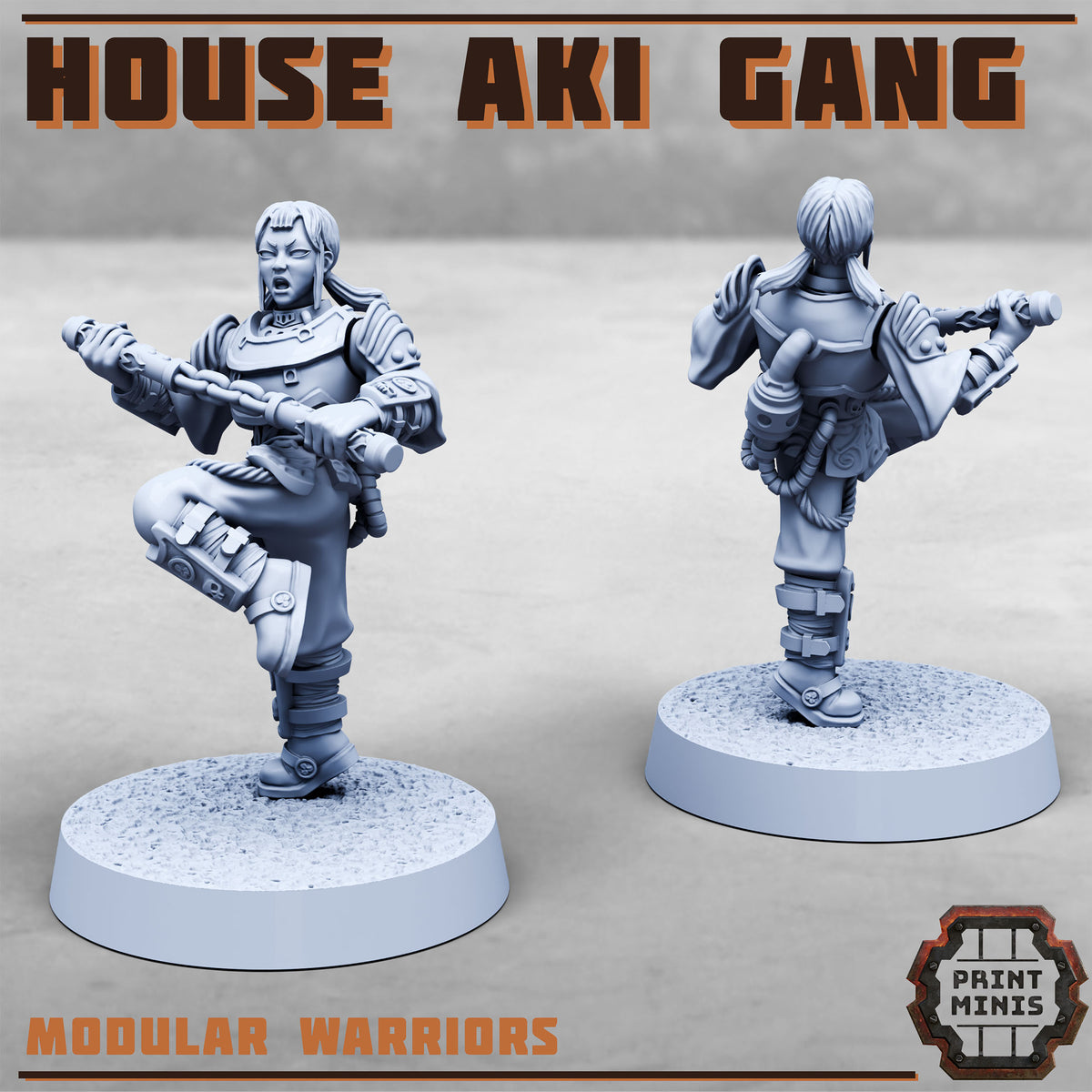 House Aki Gang - Figurine Print Minis - PRINT MINIS - 3DPitFactory