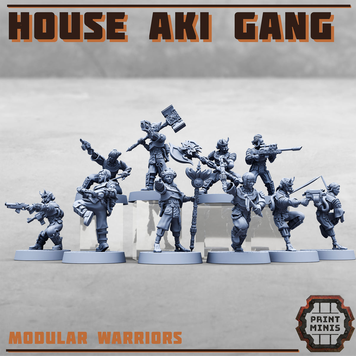 House Aki Gang - Figurine Print Minis - PRINT MINIS - 3DPitFactory
