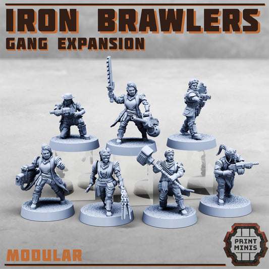 Iron Brawlers – Gang Expansion - Figurine Print Minis - PRINT MINIS - 3DPitFactory