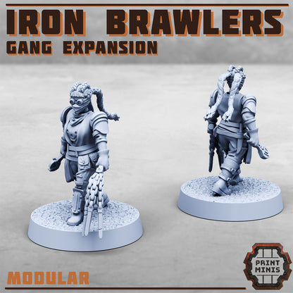 Iron Brawlers – Gang Expansion - Figurine Print Minis - PRINT MINIS - 3DPitFactory