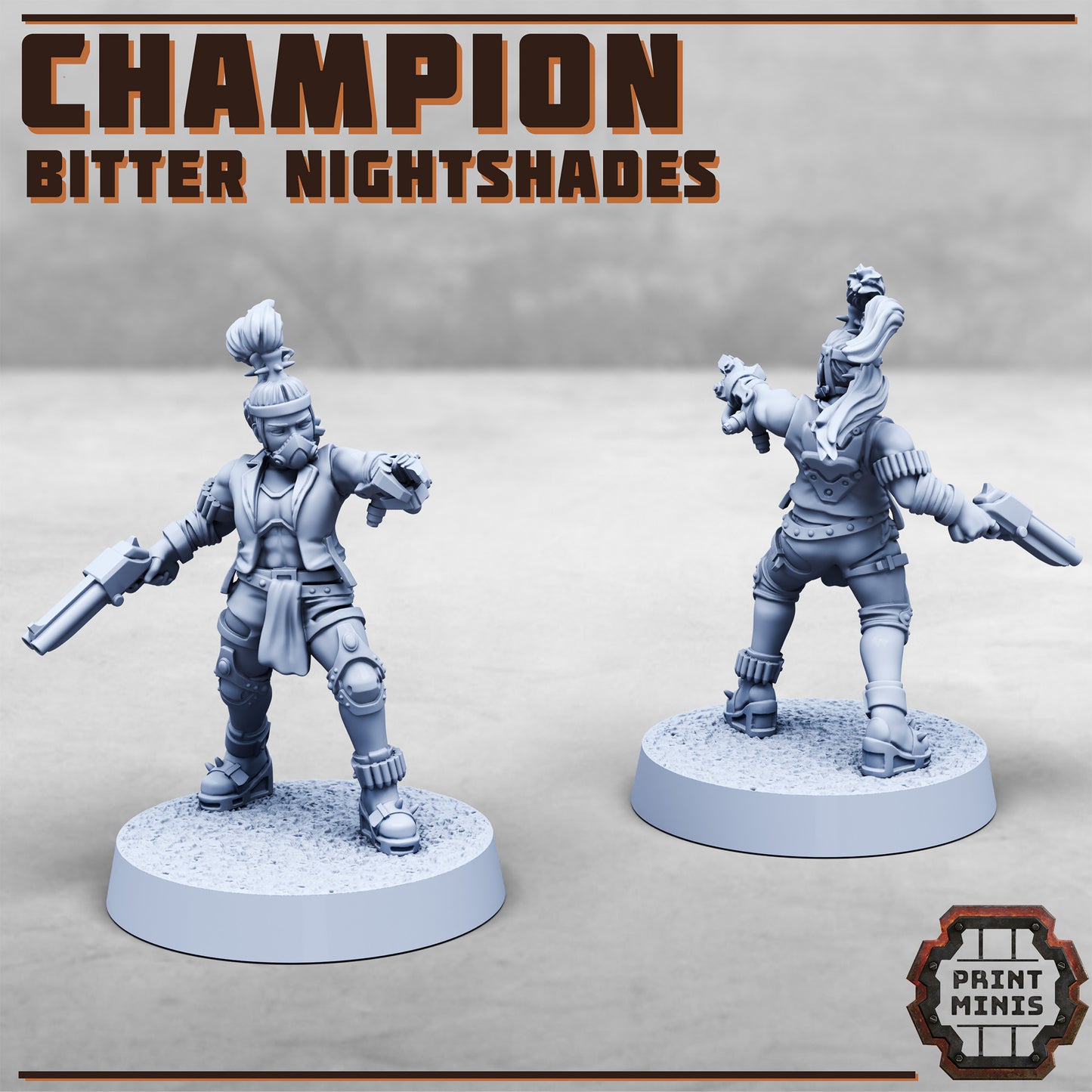 Nightshade Champions - Figurine Print Minis