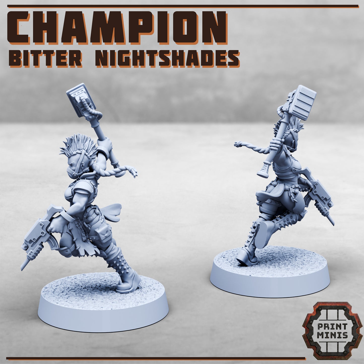 Nightshade Champions - Figurine Print Minis