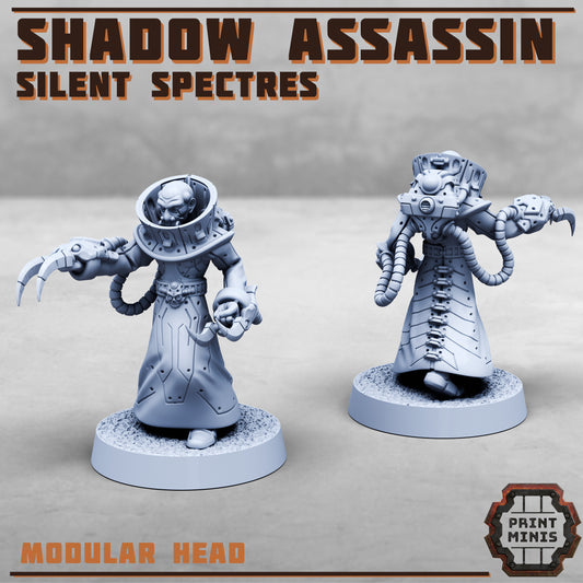 Shadow Assassin - Silent Spectres - Figurine Print Minis - PRINT MINIS - 3DPitFactory