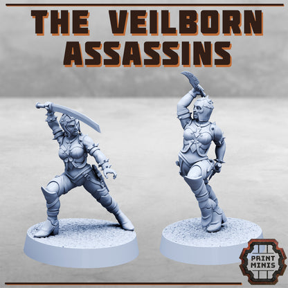 The Veilborn Assasins - Figurine Print Minis